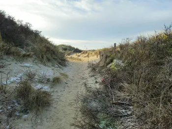 Oostnieuwkerke duinen wandeling in de koude (België)